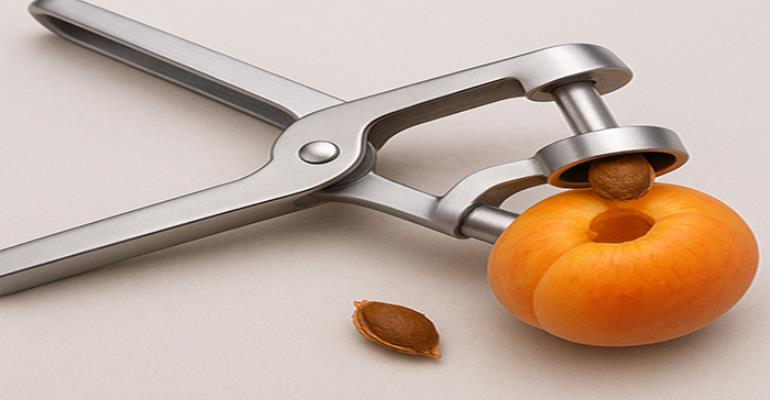 هسته‌شکن؛ ابزاری کاربردی در صنایع غذایی و خانگی